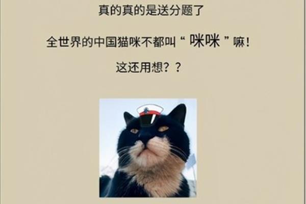 怎样测智商