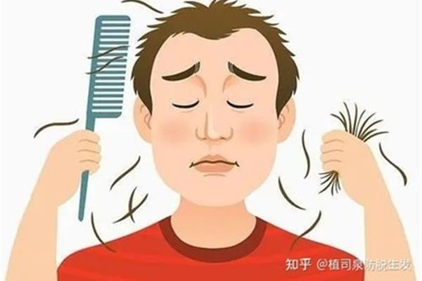 熬夜会导致脱发吗