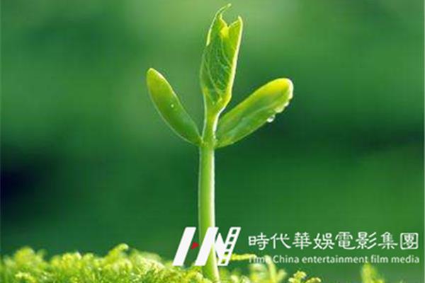 春天种下一颗种子