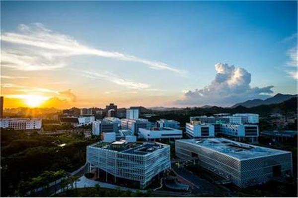南方科技大学排名