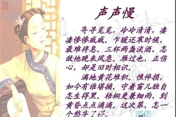 智者见智的意思