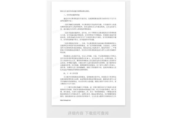 自查自纠报告