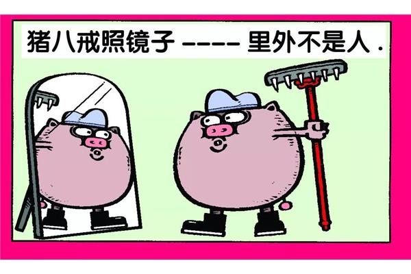 猪八戒照镜子