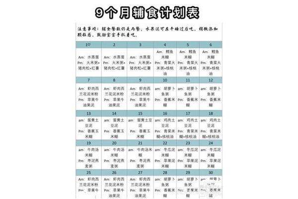 九个月宝宝辅食