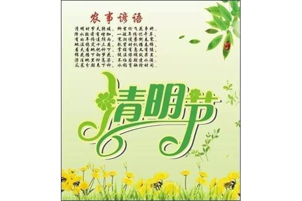 清明节的谚语