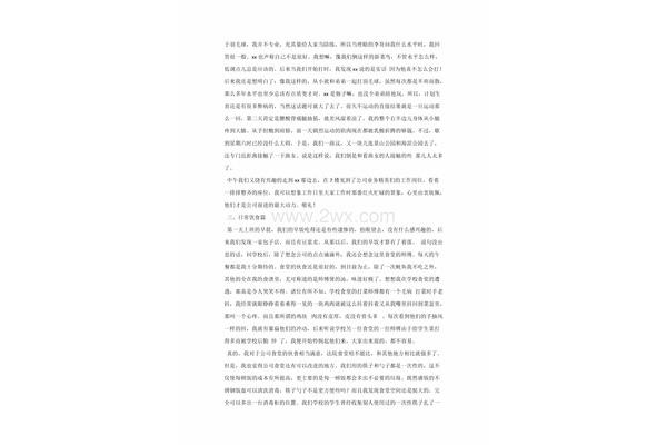 见习总结报告