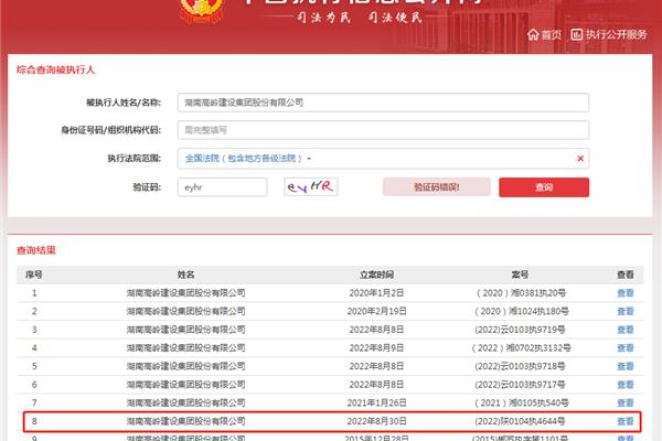 执行信息公开