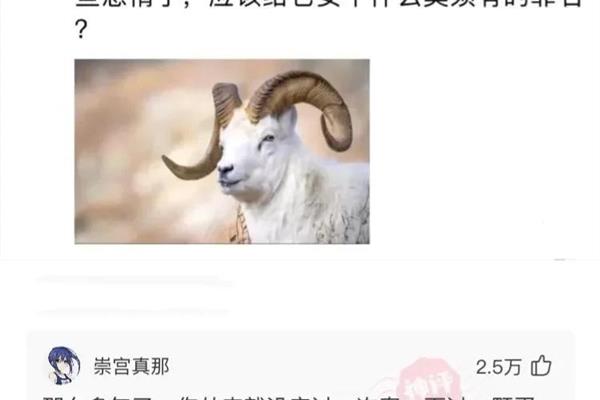 莫须有什么意思