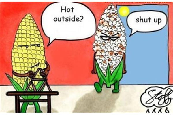 南方的夏天
