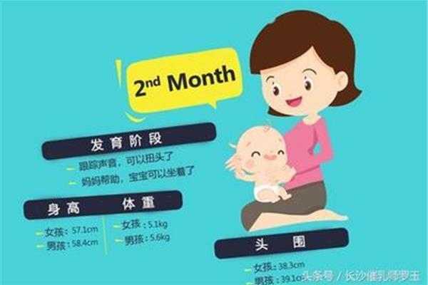 两个月的宝宝体重