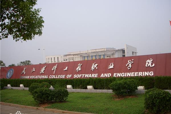 武汉软件工程学院