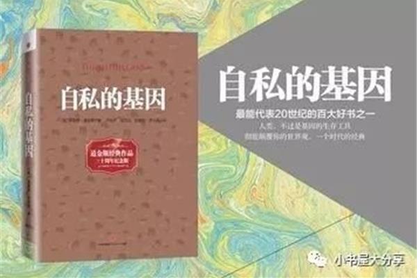 自私的定义