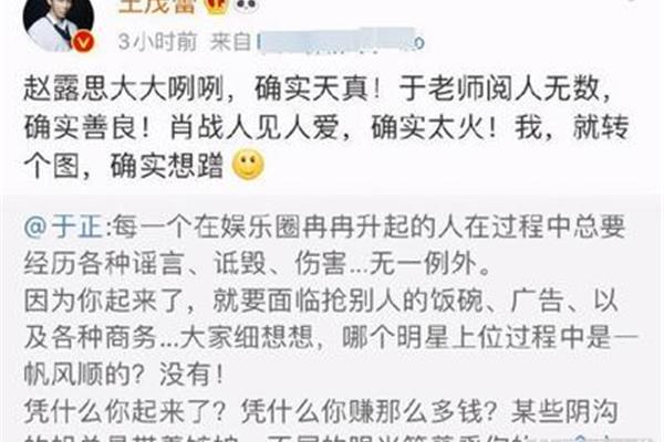 莫须有什么意思