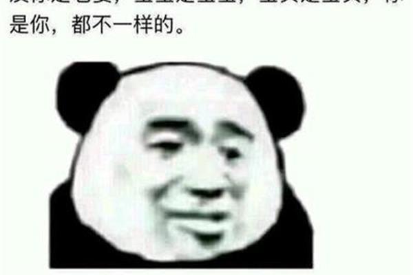 大张伟语录