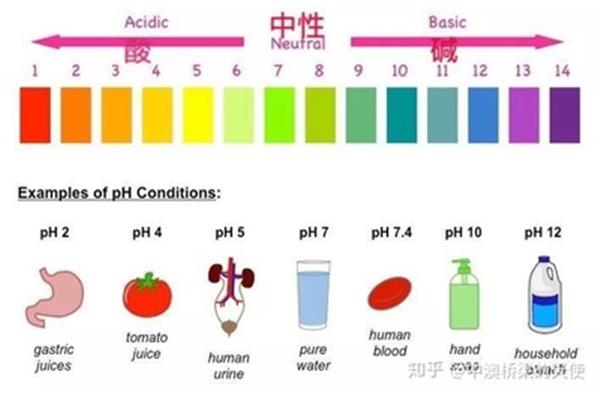 血液酸碱度