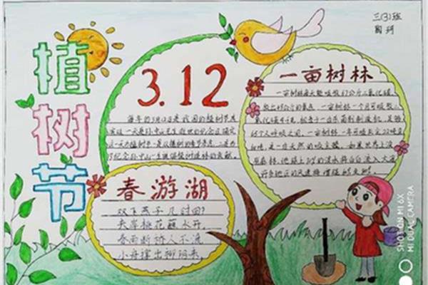 植树节手抄报大全