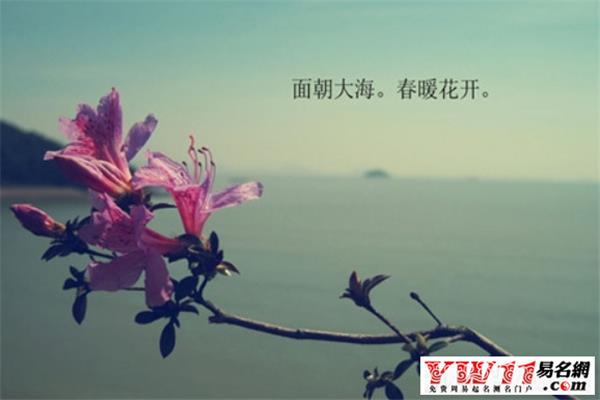 海子的经典诗句