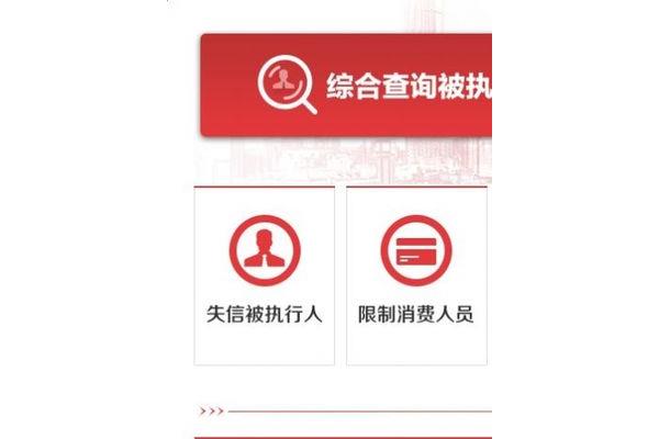 执行信息公开