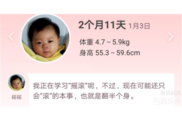 两个月的宝宝体重