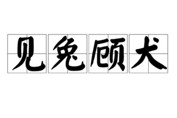 见兔顾犬的意思