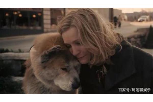 电影忠犬八公