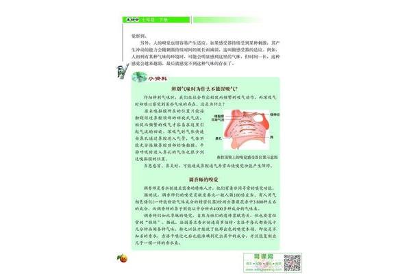 七年级下册生物书