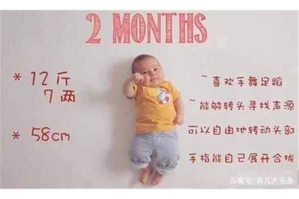 两个月的宝宝体重