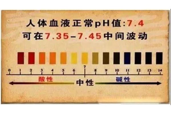 血液酸碱度