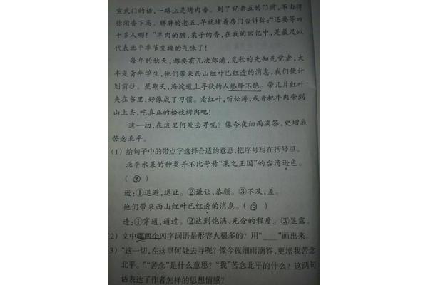 形容胖的词语