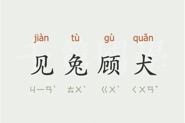 见兔顾犬的意思