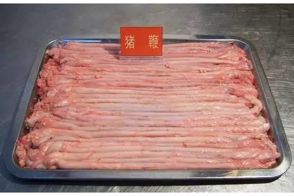 猪鞭是哪个部位