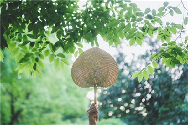 南方的夏天