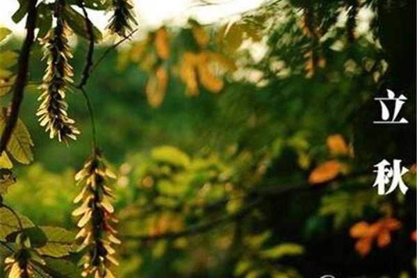 含有季节的成语