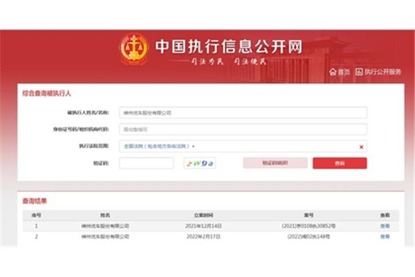 执行信息公开