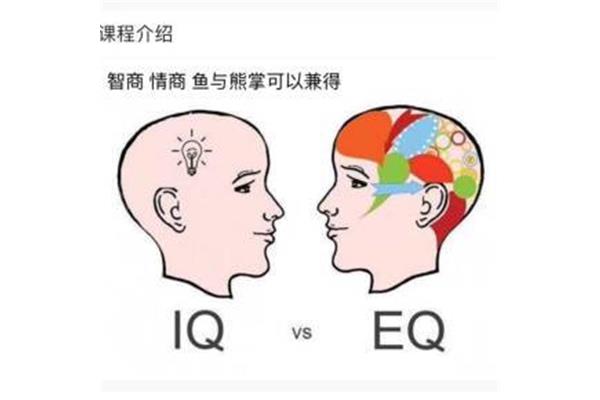 什么叫情商和智商
