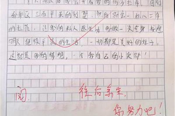 你的样子作文