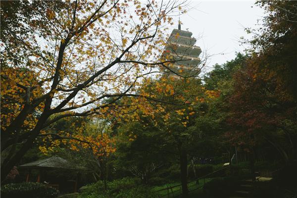 重庆鹅岭公园