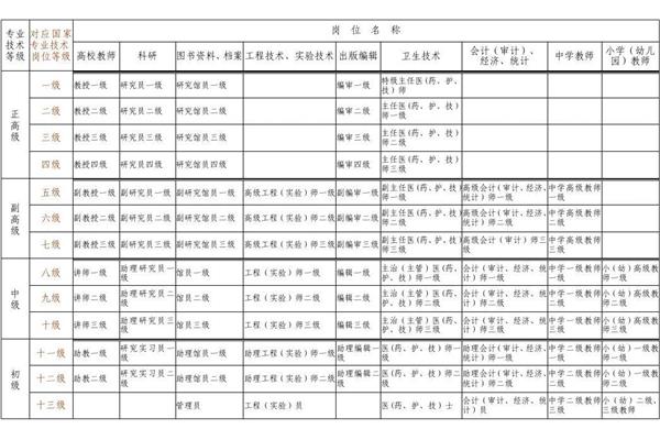 专业技术等级