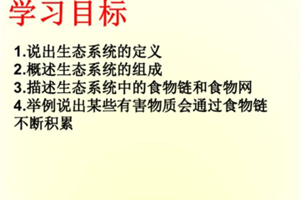 食物链的定义