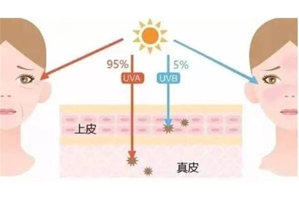 紫外线指数