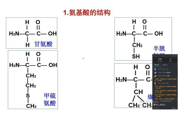 氨基酸结构特点