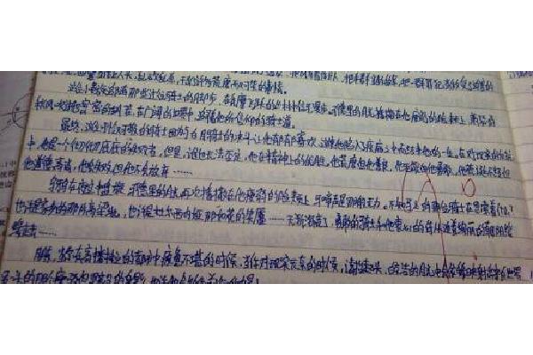 你的样子作文
