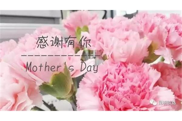感谢妈妈的话