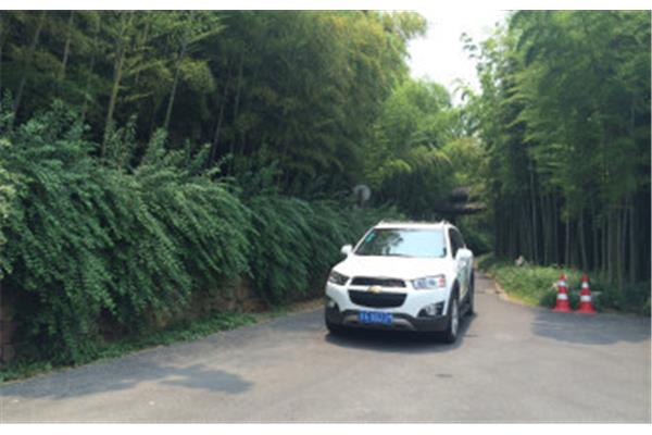 宝马香车雕满路
