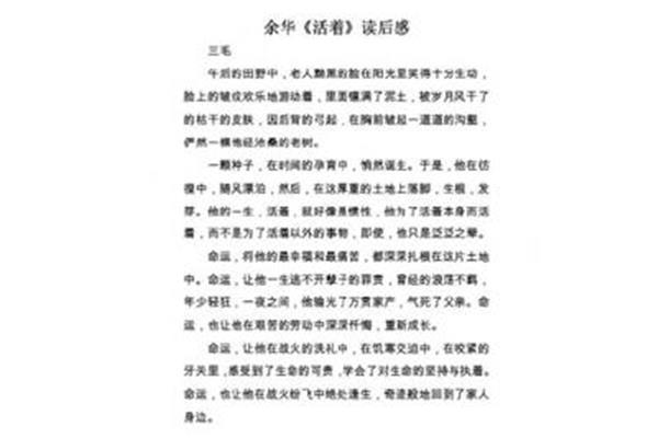 文城读后感
