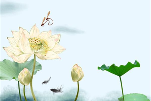 荷花儿童画