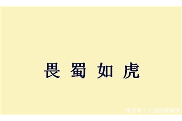 公开头的成语