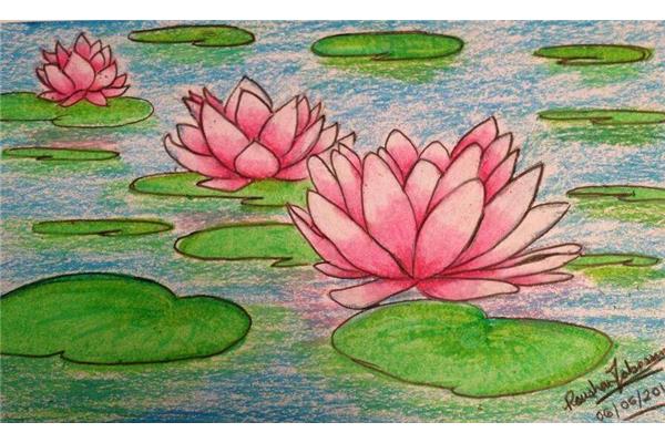 荷花儿童画