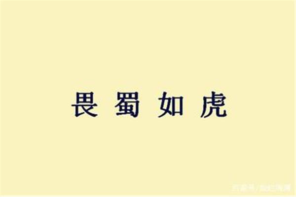 公开头的成语