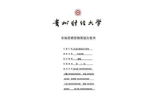 方案策划书